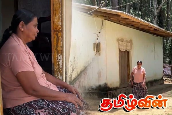 உயிருடன் இருந்தும் தவறாக இறந்தவர் எனப் பதிவுசெய்யப்பட்டதால் சிரமம் அனுபவிக்கும் அதுரலியவில் வசிக்கும் பேபிஹாமி.